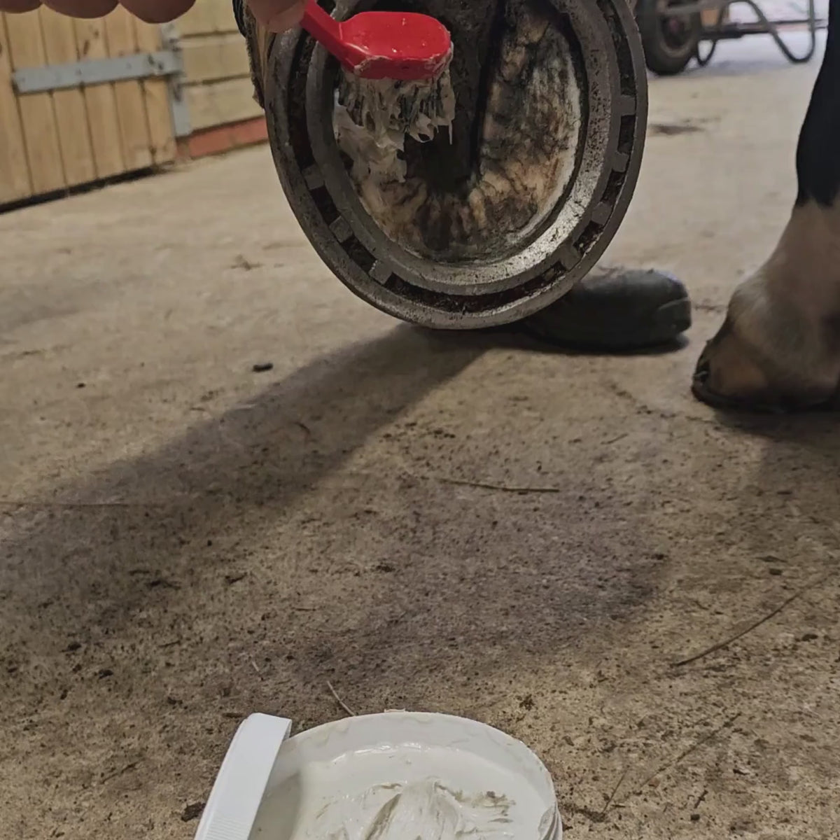 Horse Hoof Clay