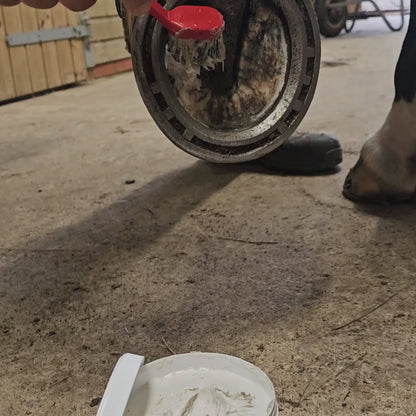 Horse Hoof Clay