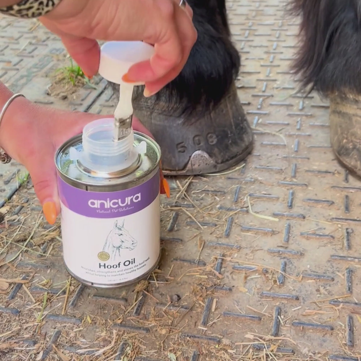 Hoof Oil