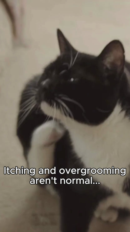 Anti-Itch Cat Chews