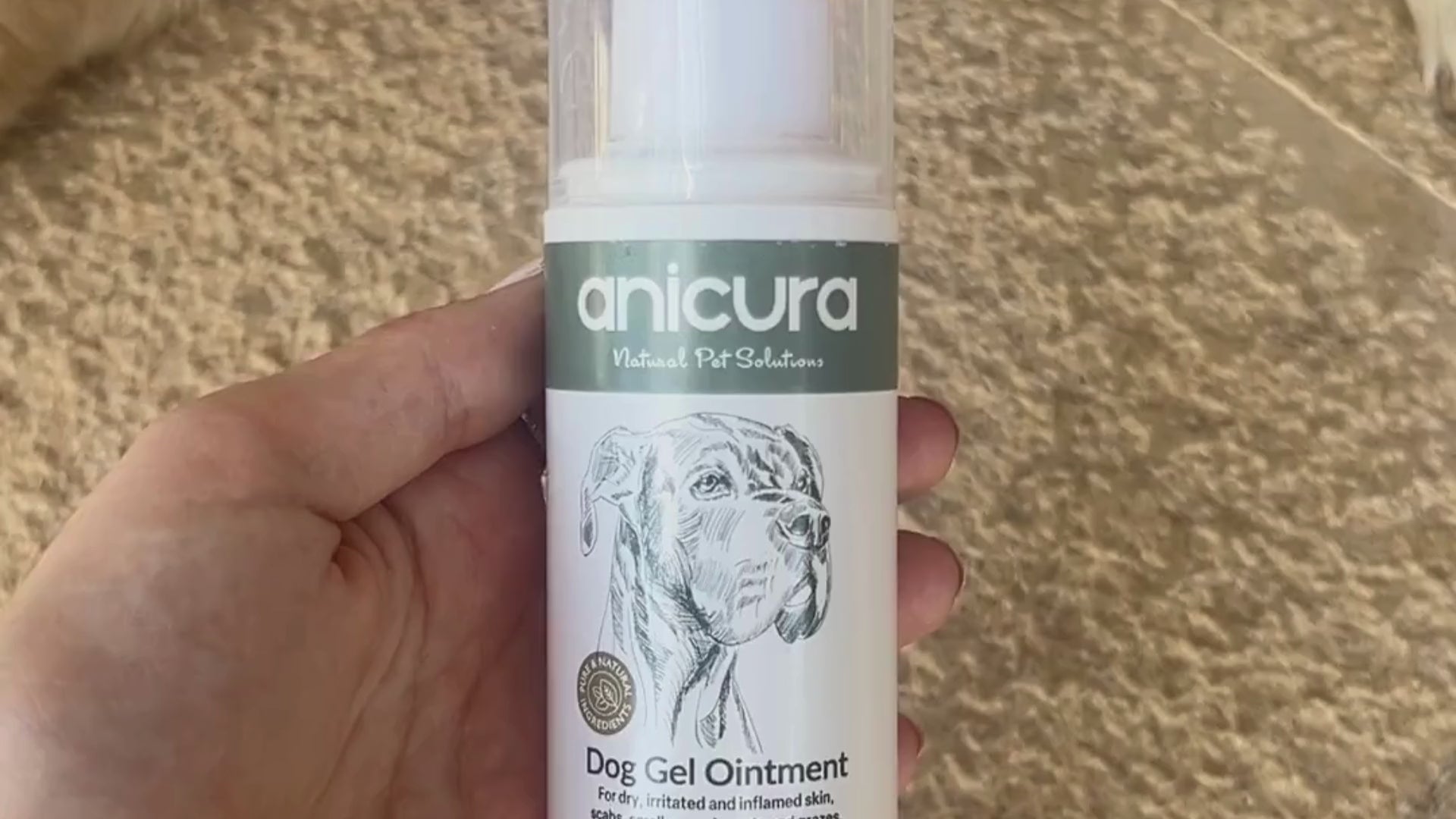 Dog Gel