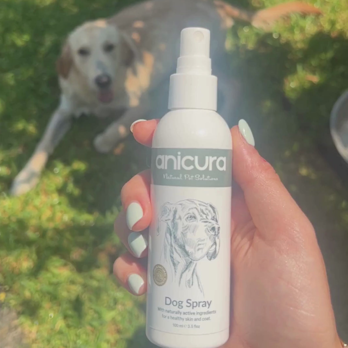 Dog Spray
