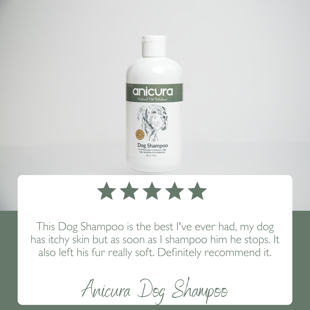 Dog Shampoo