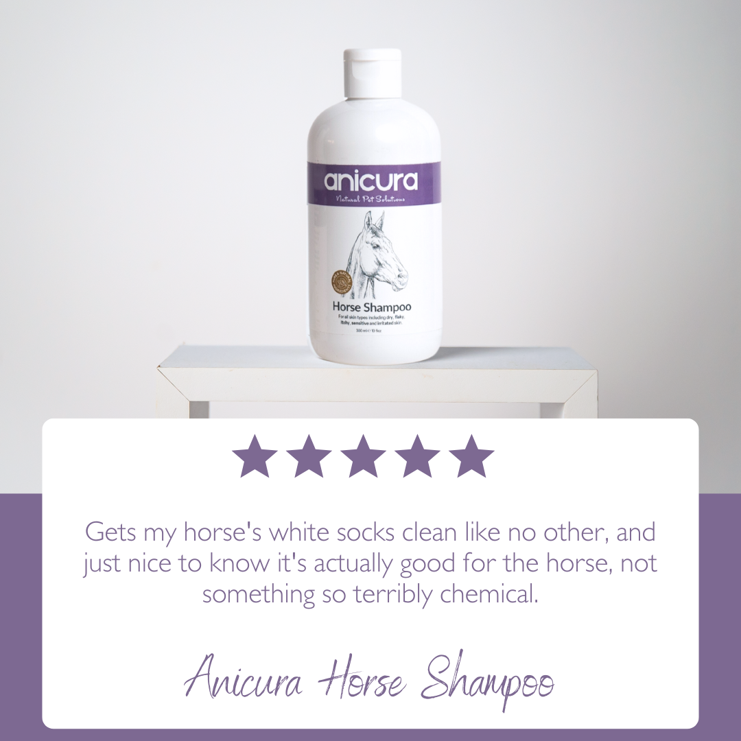 Horse Shampoo