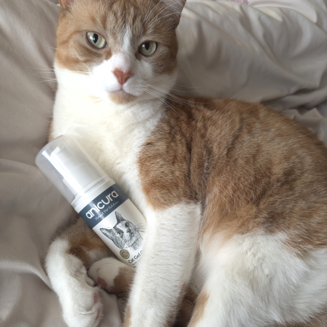 Cat Gel