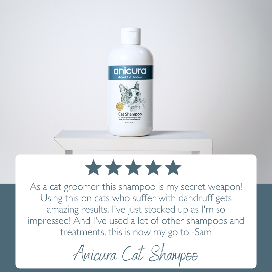 Cat Shampoo