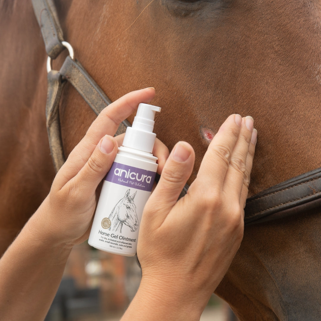 Horse Gel